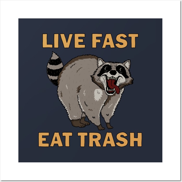 Raccoon - Live Fast Eat Trash Wall Art by valentinahramov